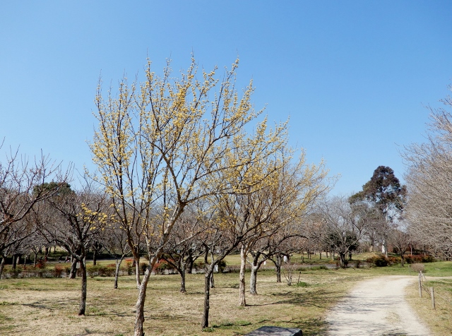 e0025300_16551379.jpg