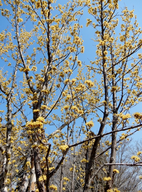 e0025300_16554890.jpg