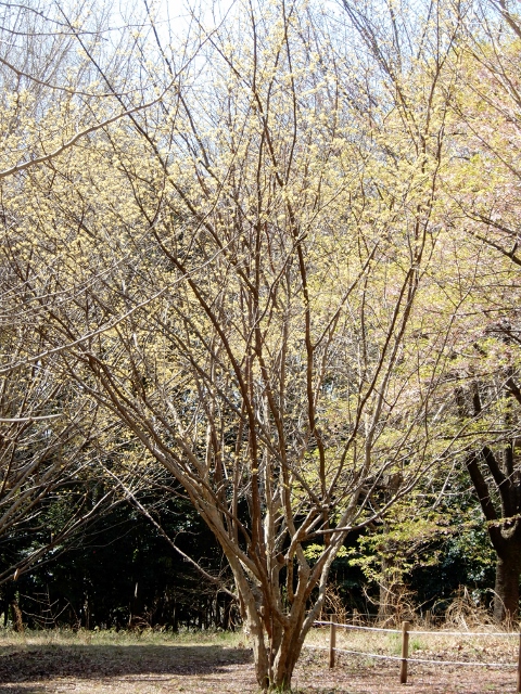 e0025300_16575346.jpg