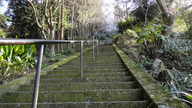 f0187402_20501191.jpg