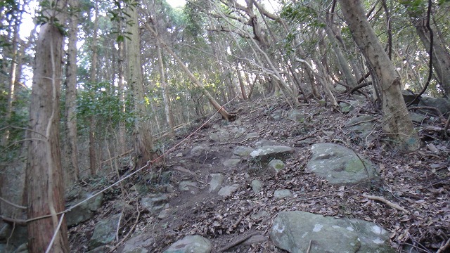 f0187402_20502174.jpg