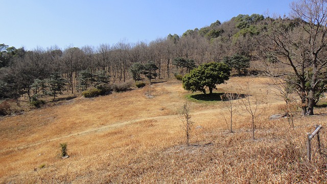 f0187402_2053356.jpg