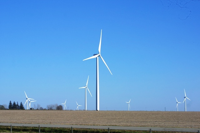 c0062603_04133423.jpg