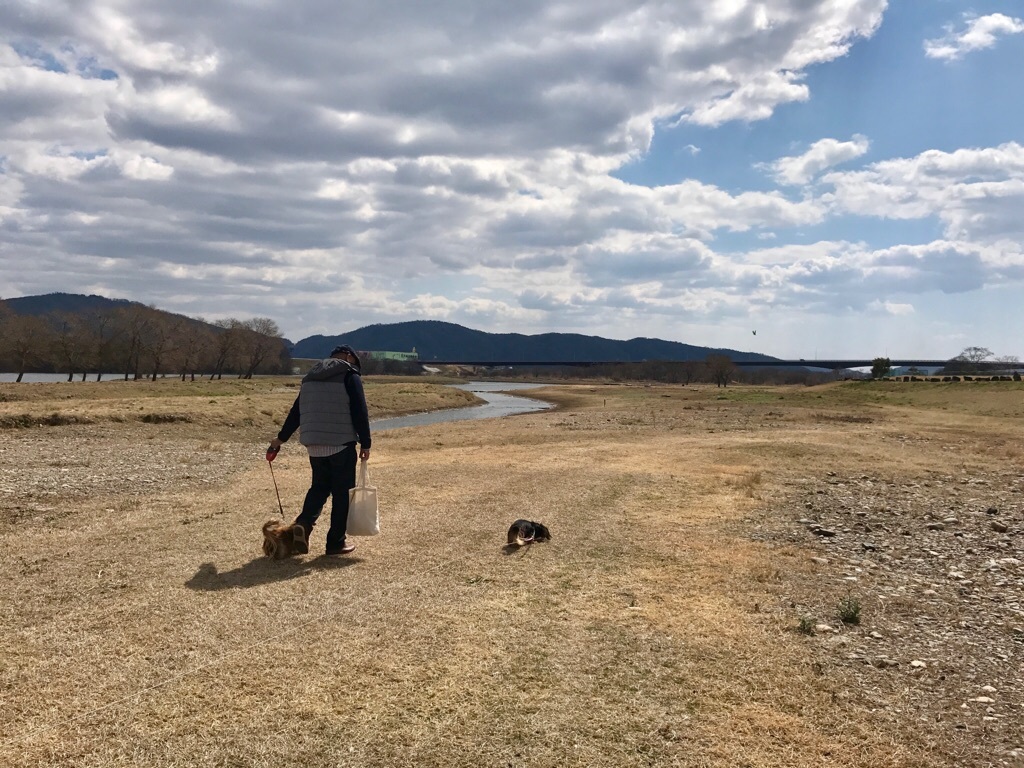 河川敷でピクニック♪_c0323003_17191259.jpg