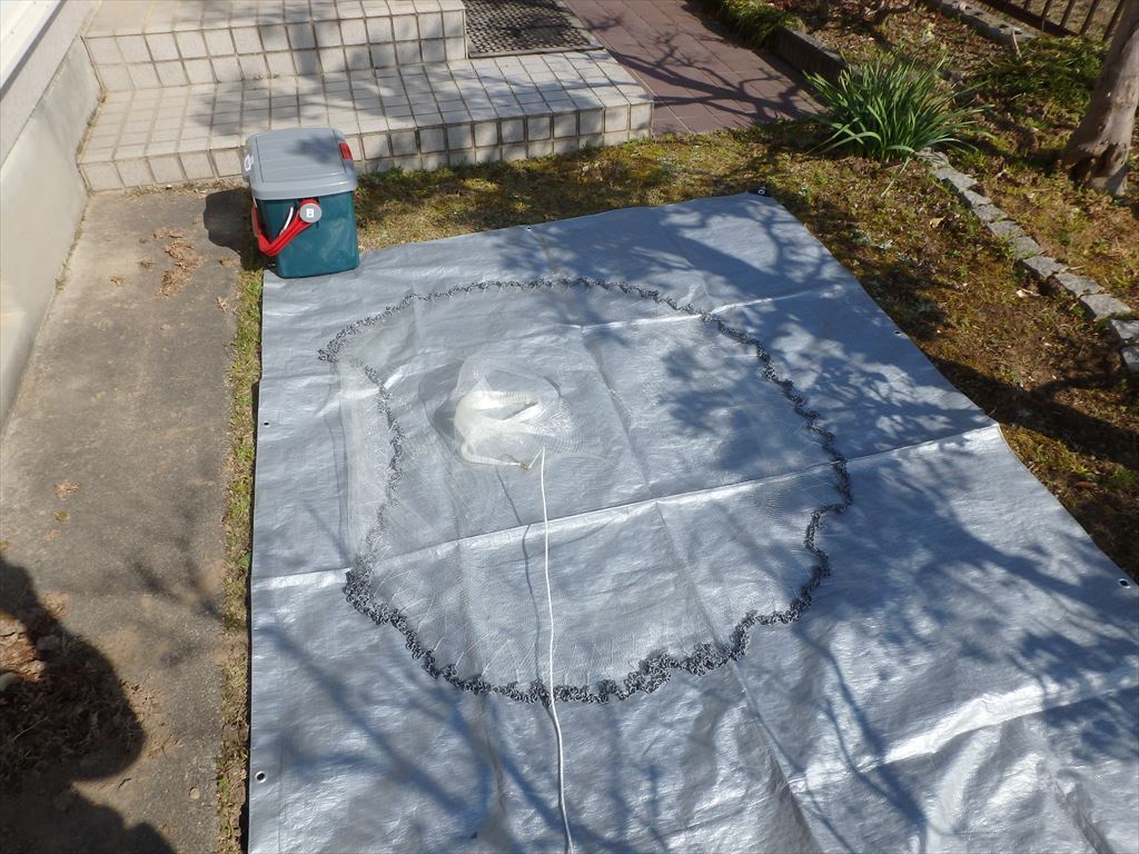 b0137704_16224565.jpg