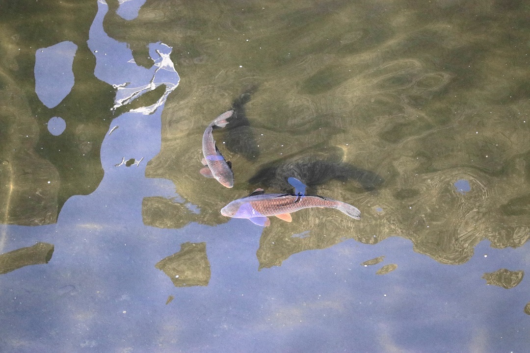 e0123808_22503018.jpg