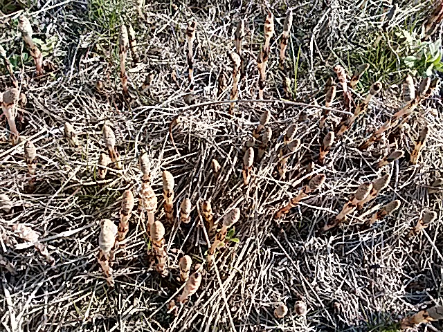 f0231709_10186.jpg