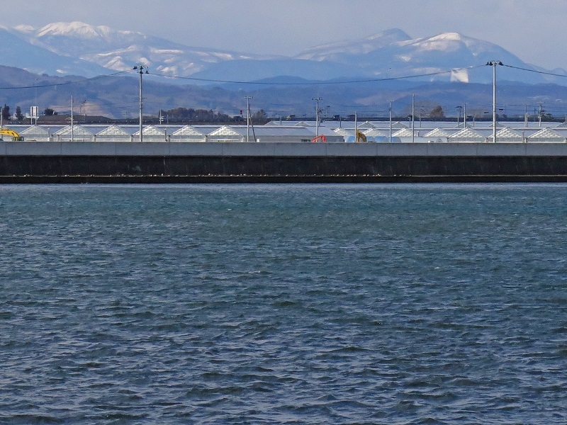 e0349817_21443398.jpg