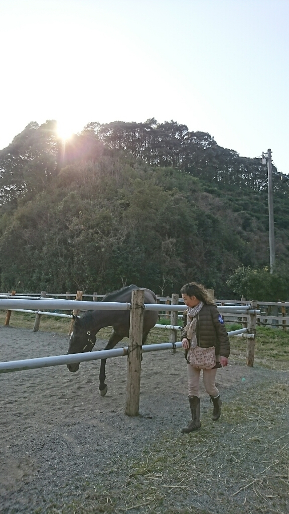 b0187620_18573320.jpg