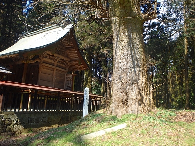 f0193521_75076.jpg