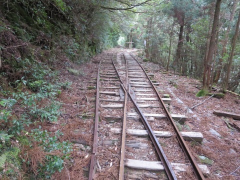 f0149422_14275716.jpg