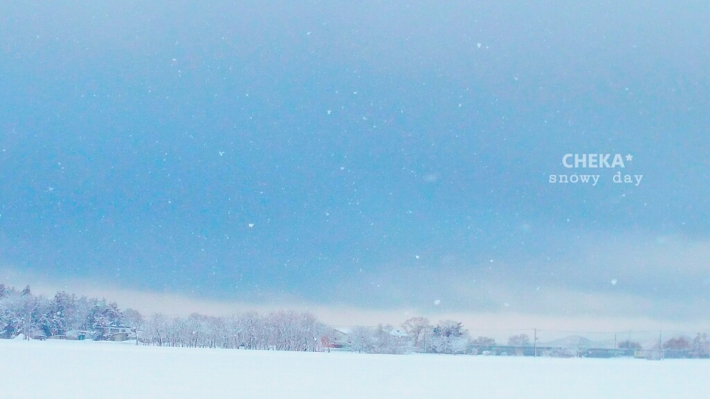 c0229025_05122463.jpg