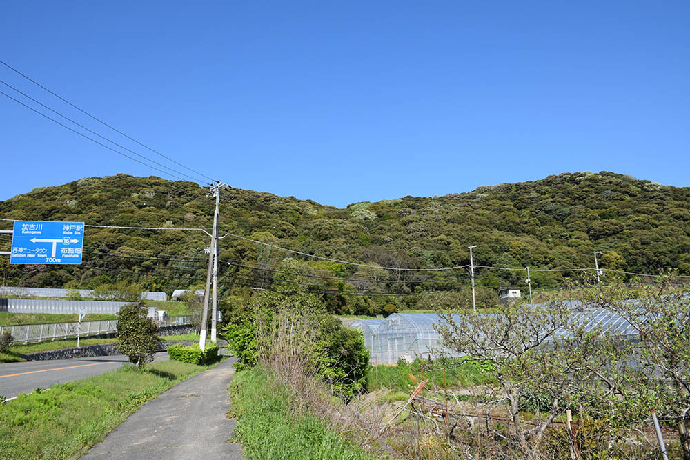 e0158128_16045301.jpg