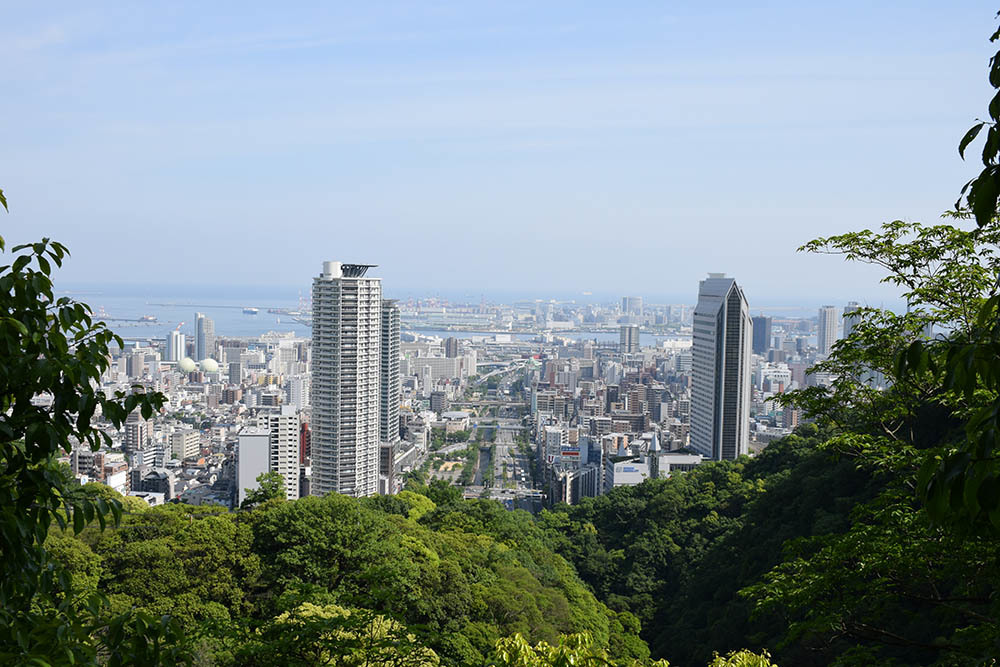 太平記を歩く。　その３７　「滝山城跡」　神戸市中央区_e0158128_17002660.jpg
