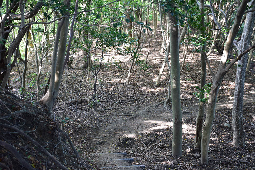 太平記を歩く。 その37 「滝山城跡」 神戸市中央区_e0158128_17154693.jpg