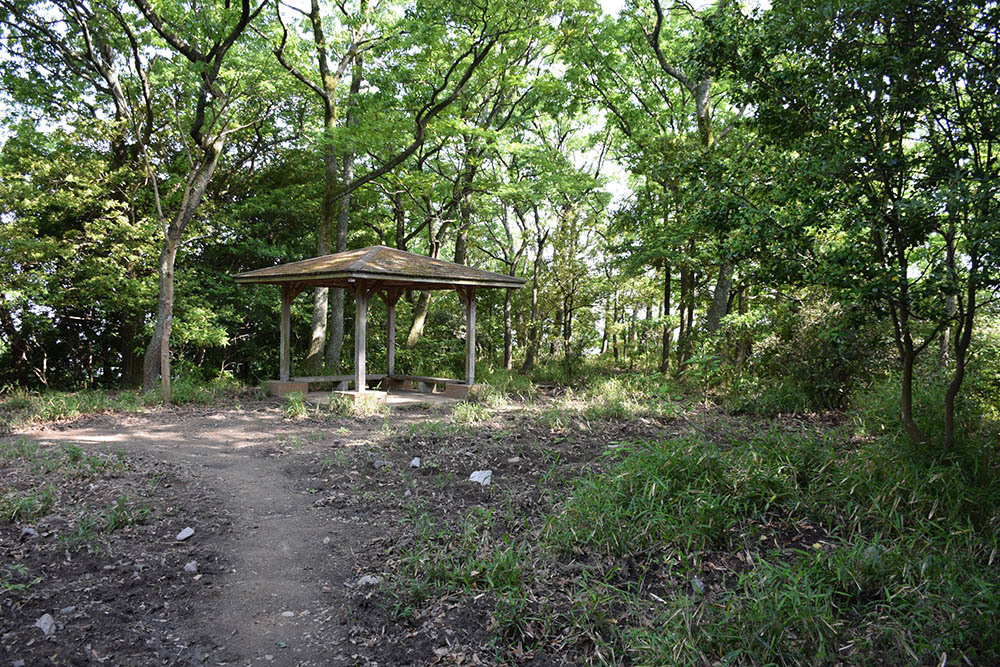 太平記を歩く。 その37 「滝山城跡」 神戸市中央区_e0158128_17163684.jpg