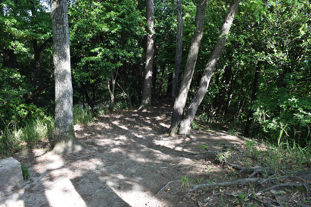 太平記を歩く。 その37 「滝山城跡」 神戸市中央区_e0158128_17235697.jpg