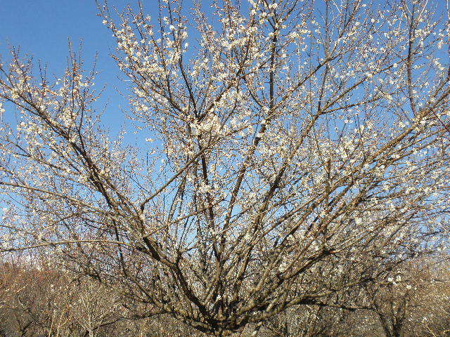 c0359929_23161813.jpg