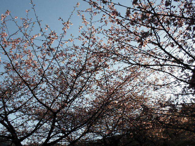 c0359929_23163619.jpg