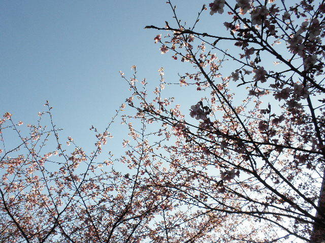 c0359929_23165040.jpg