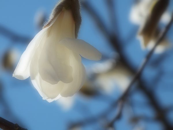 a0354432_16504398.jpg