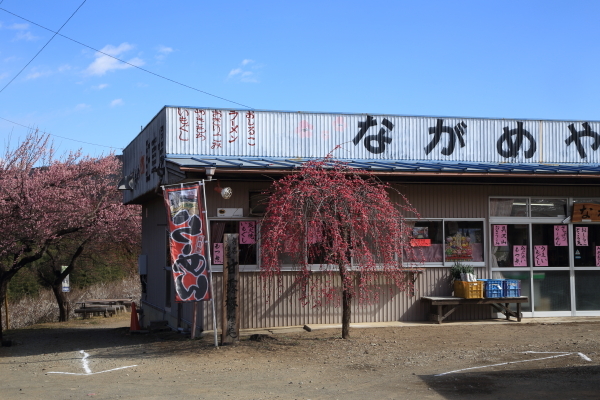 群馬県安中市秋間梅林（６D編）その２_f0229832_09085266.jpg