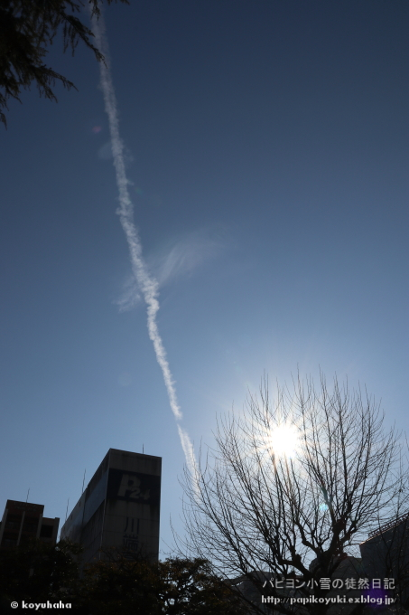 お天気～♪青空～♪_d0140234_20210198.jpg