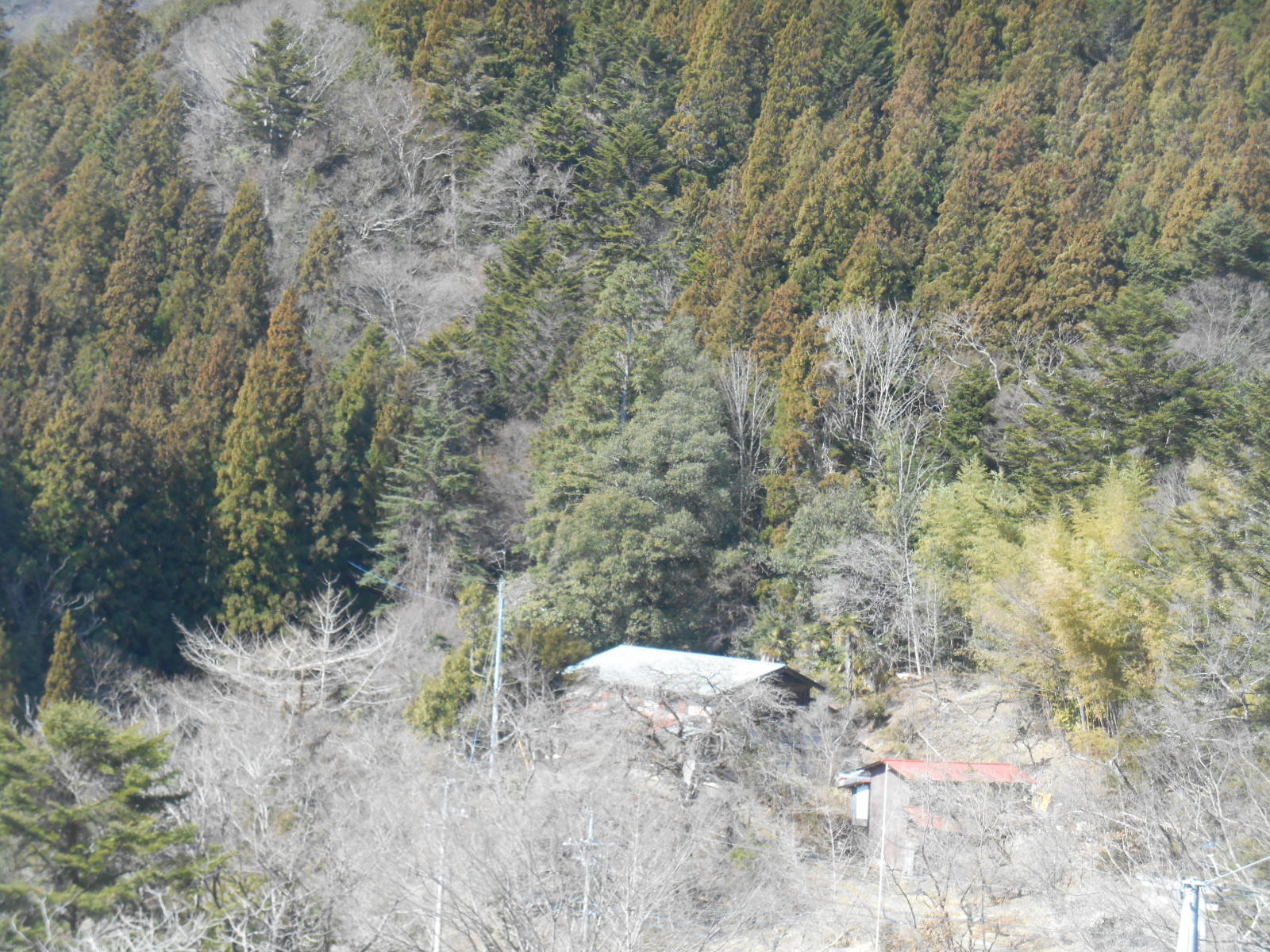 e0297347_2139482.jpg