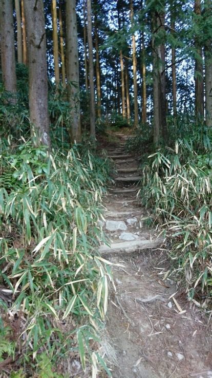 b0148050_21591659.jpg