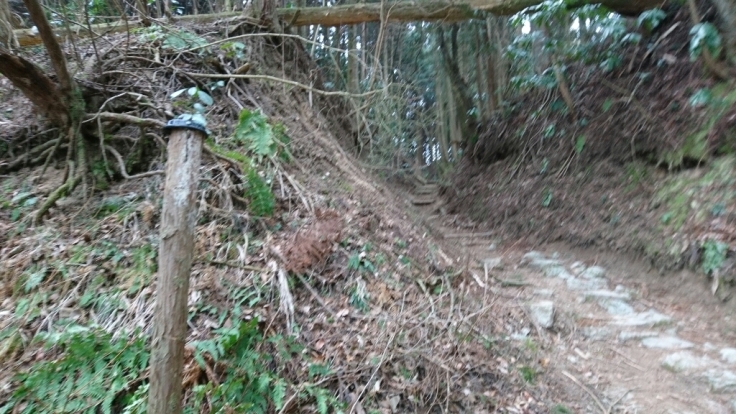 b0148050_21591864.jpg