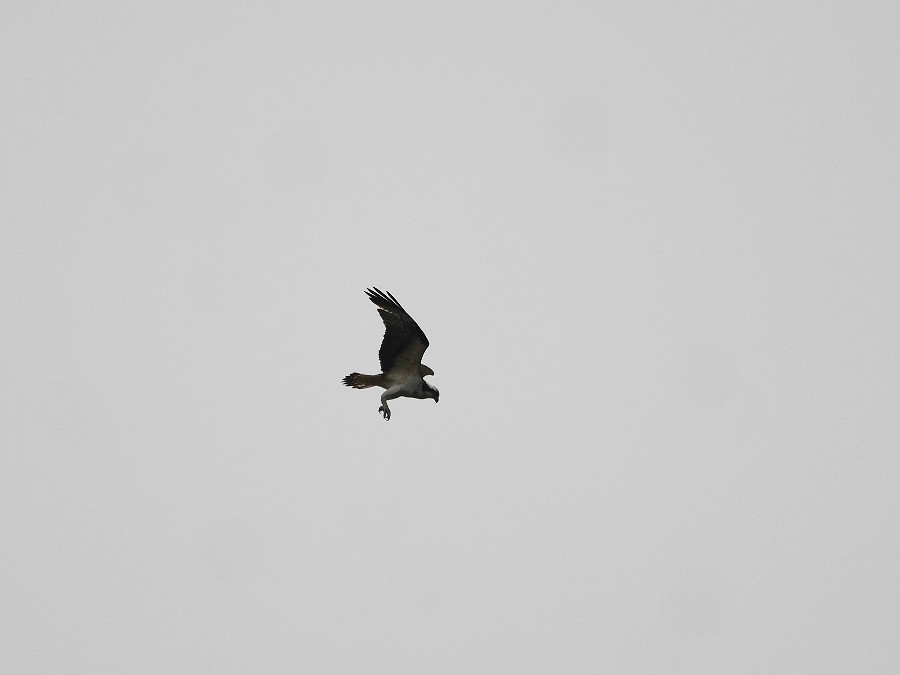 f0124451_0321657.jpg