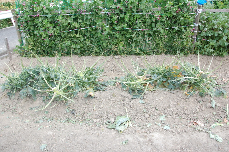 c0108460_20385912.jpg