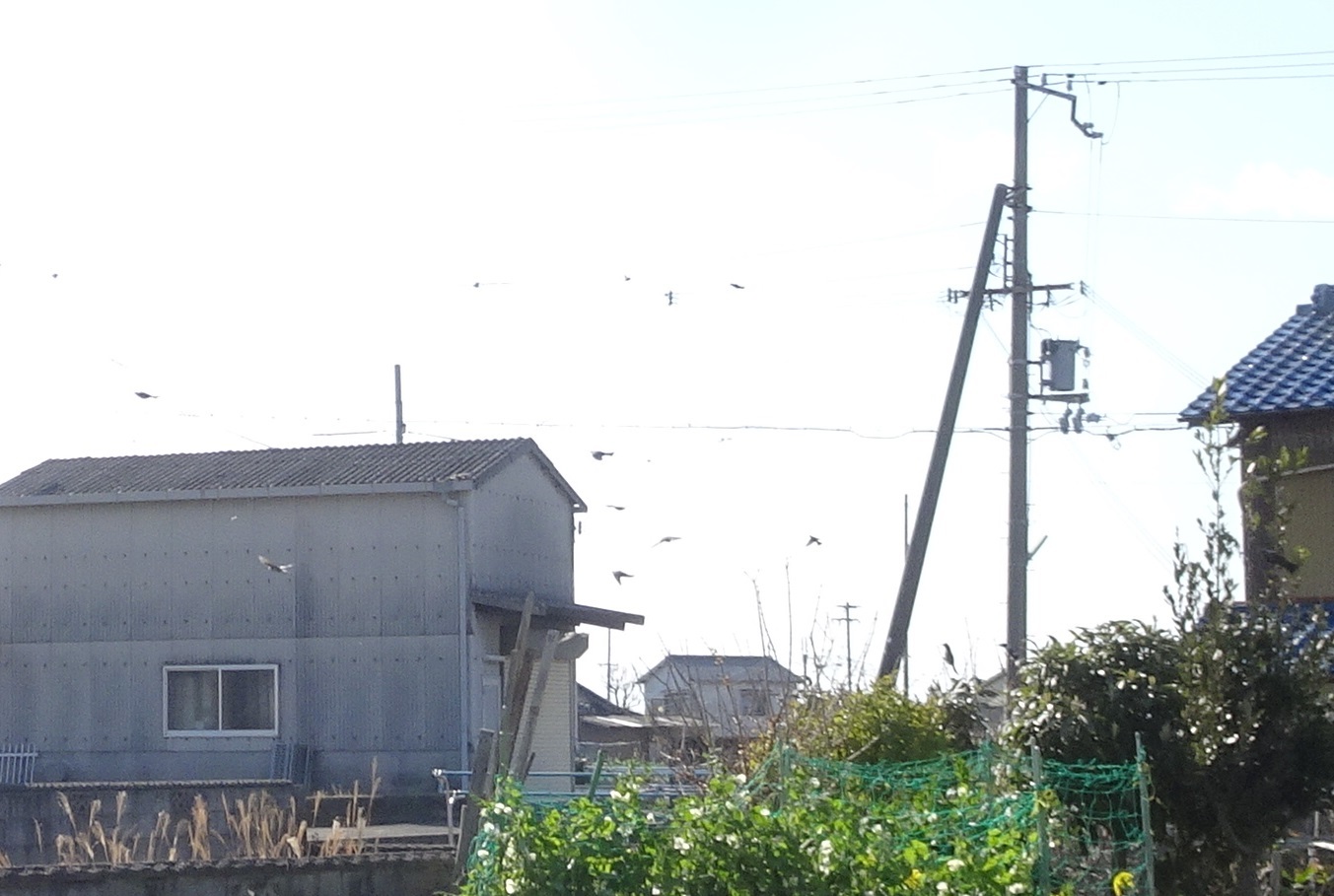 c0108460_20393790.jpg