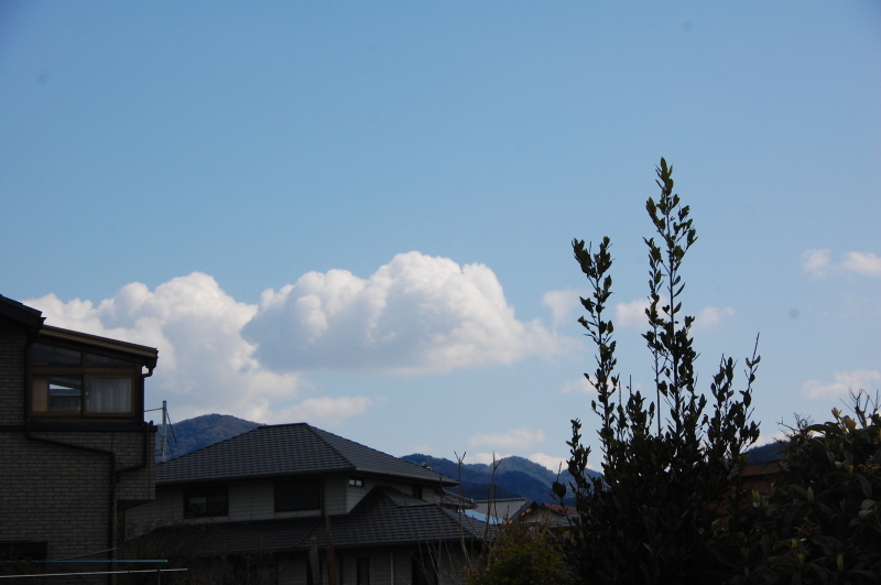 c0108460_20402546.jpg