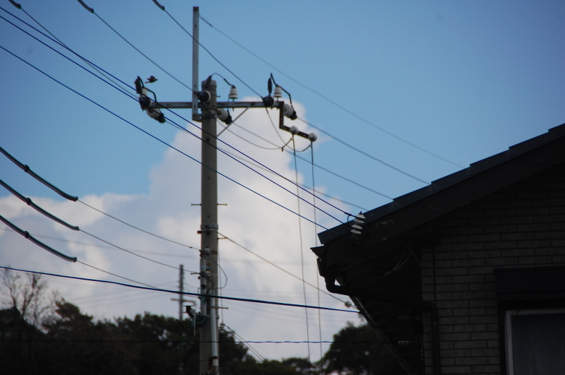c0108460_20410213.jpg