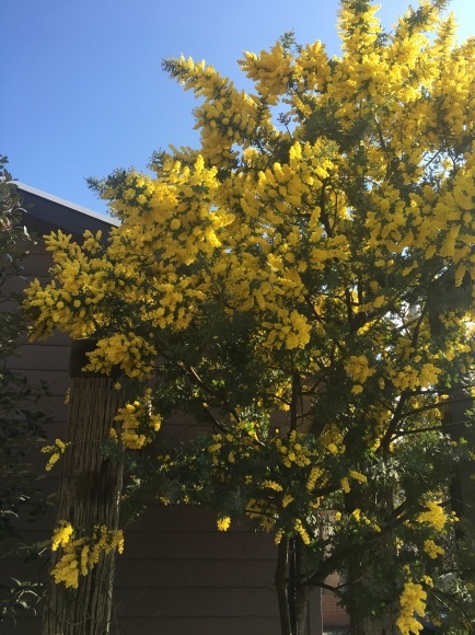 c0120363_14441878.jpeg