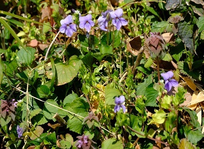 e0225164_08460007.jpg