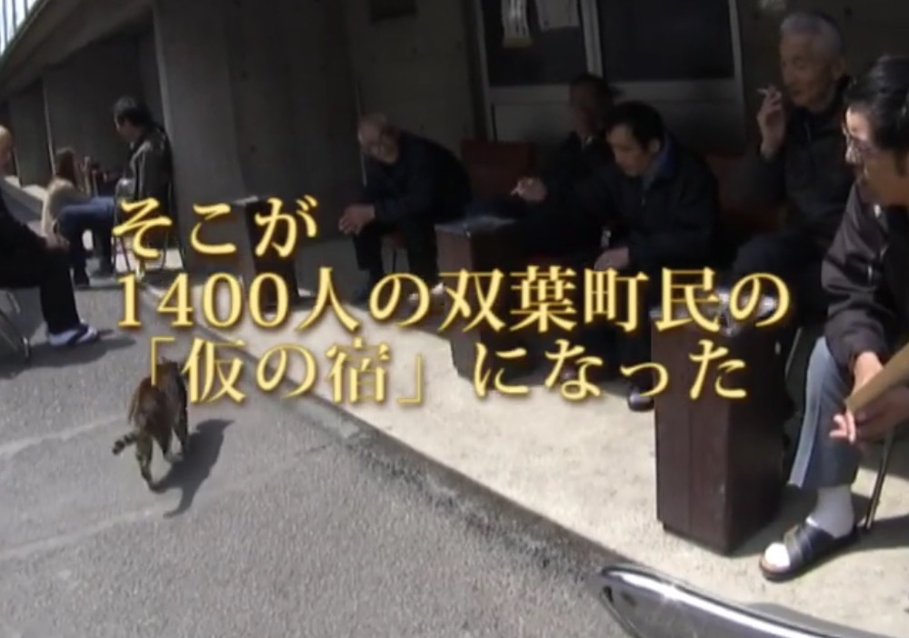 b0343370_12383056.png