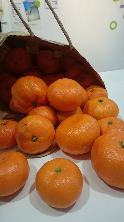 f0172281_6354440.jpg