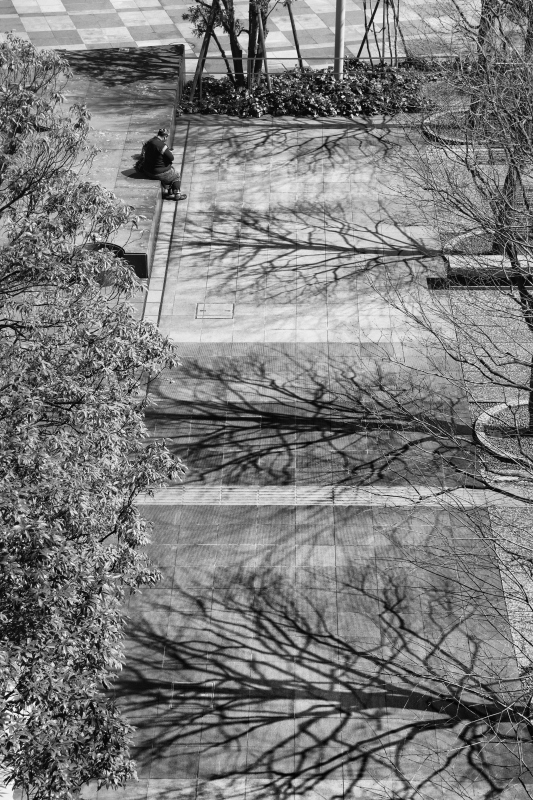 f0167482_20162427.jpg