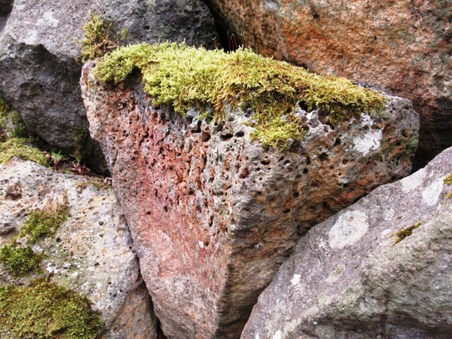c0310987_00051297.jpg