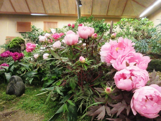 c0310987_00051573.jpg