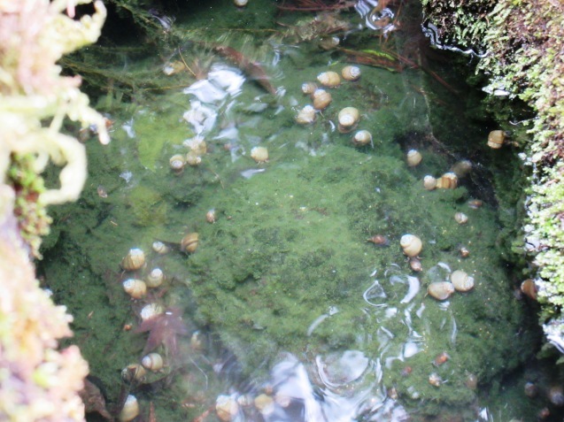 c0310987_00051593.jpg