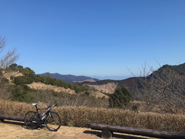 c0184491_2334994.jpg