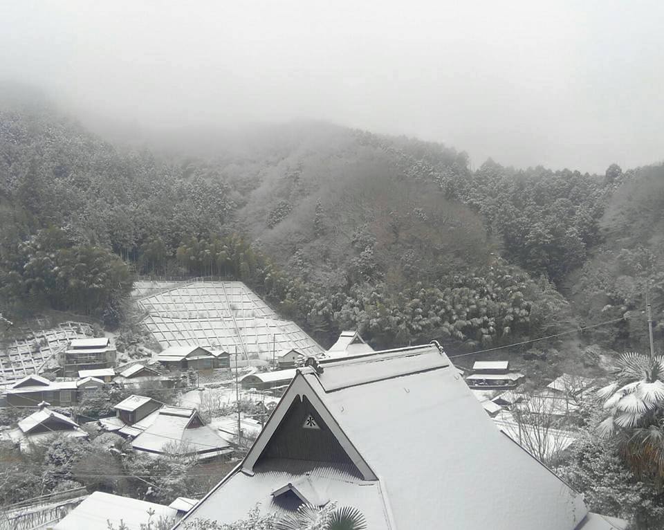 2月のFB日記_e0111396_2123190.jpg