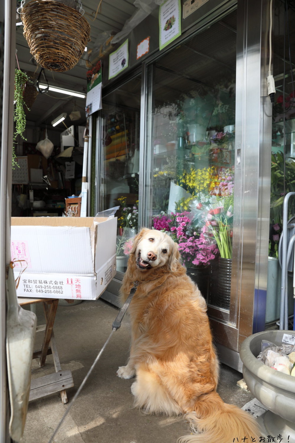 京都祇園の香り♪_b0275998_12325804.jpg