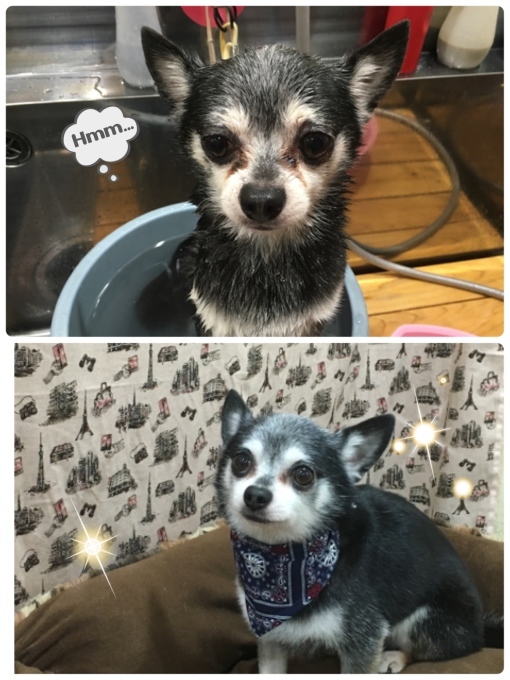 d0269898_16552421.jpeg