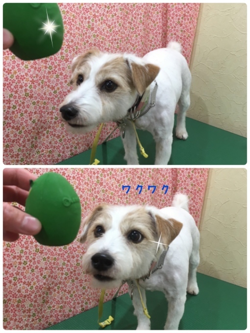 d0269898_16560981.jpeg