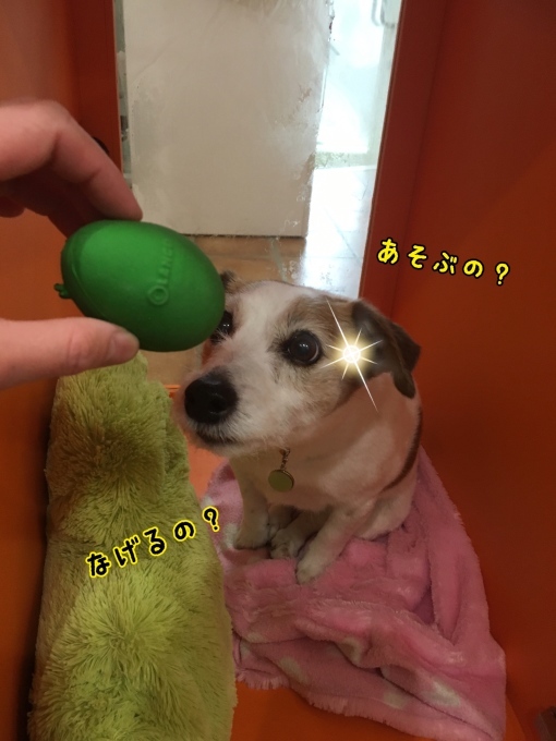 d0269898_16562341.jpeg
