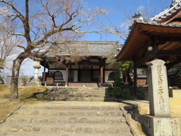 その15 指図堂と戒壇院_f0033598_1815514.jpg
